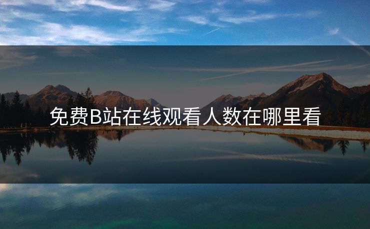 免费B站在线观看人数在哪里看