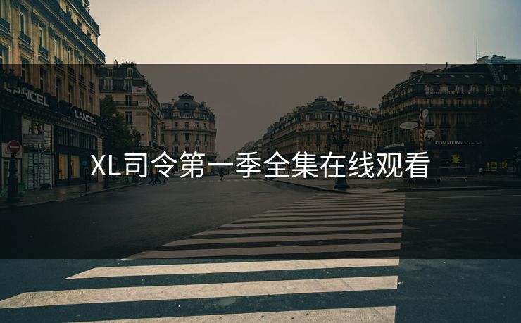 XL司令第一季全集在线观看