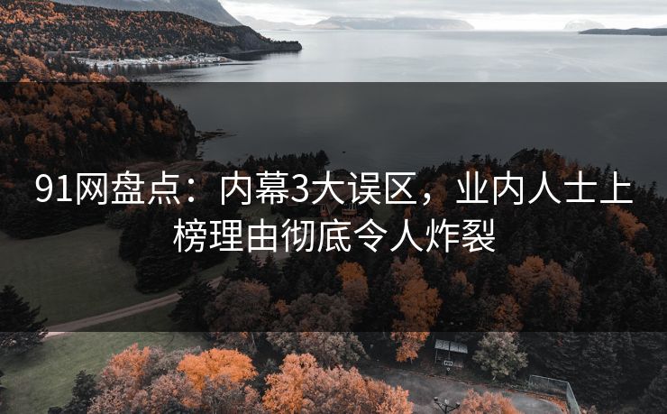 91网盘点：内幕3大误区，业内人士上榜理由彻底令人炸裂
