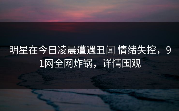 明星在今日凌晨遭遇丑闻 情绪失控，91网全网炸锅，详情围观