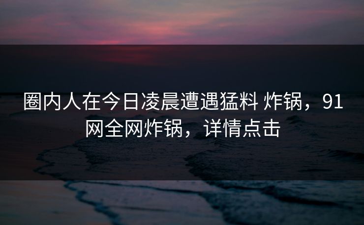 圈内人在今日凌晨遭遇猛料 炸锅,91网全网炸锅,详情点击 圈内人在今日凌晨遭遇猛料 炸锅,91网全网炸锅,详情点击