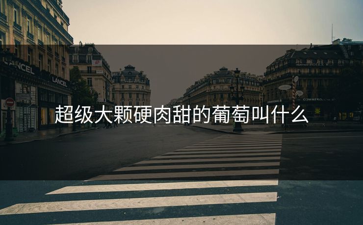 超级大颗硬肉甜的葡萄叫什么