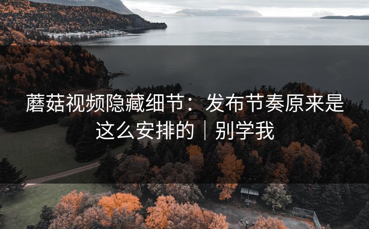 蘑菇视频隐藏细节:发布节奏原来是这么安排的|别学我 蘑菇视频隐藏细节:发布节奏原来是这么安排的|别学我