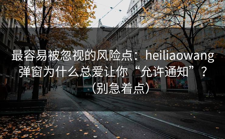 最容易被忽视的风险点：heiliaowang弹窗为什么总爱让你“允许通知”？（别急着点）
